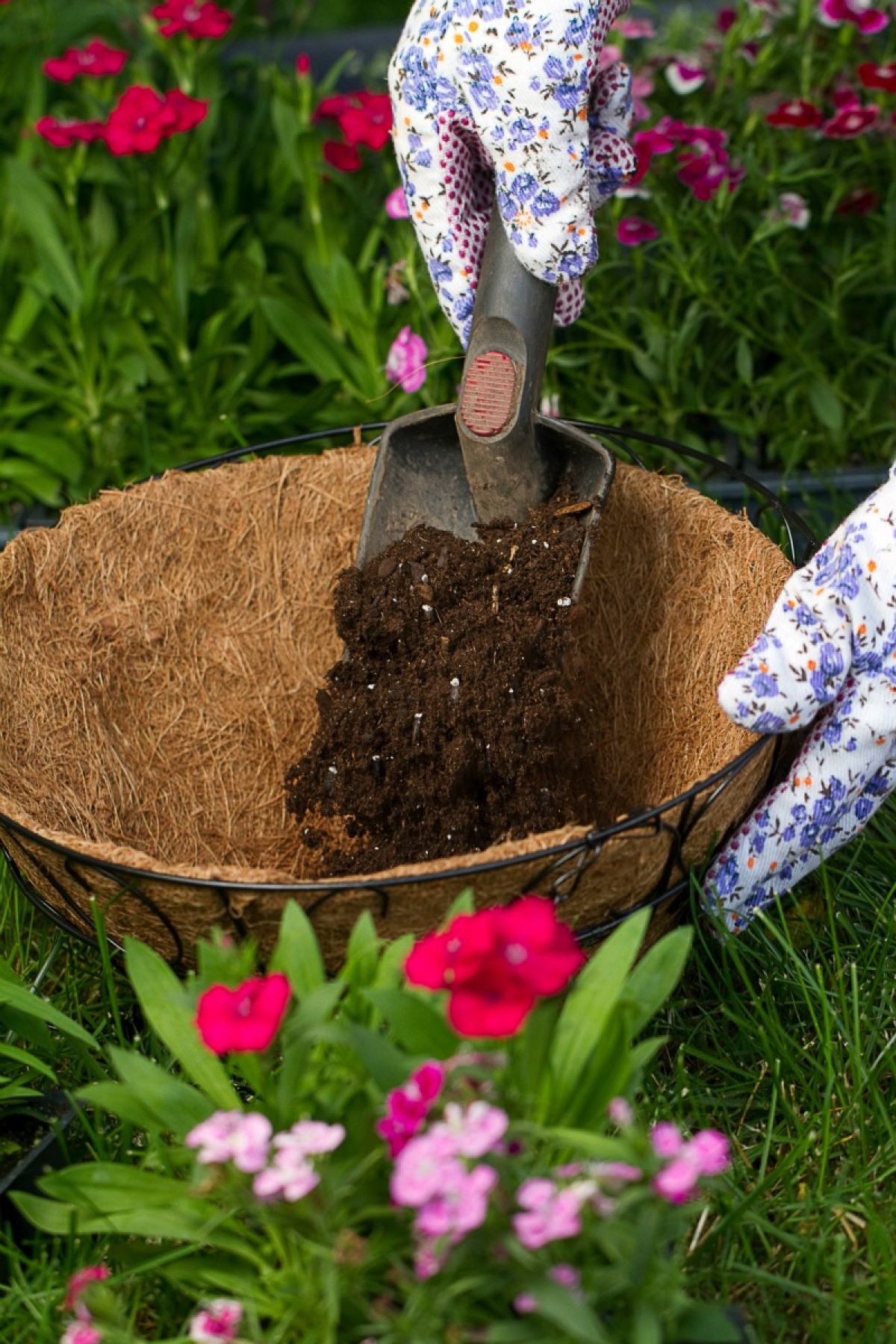 reusing-potting-soil-thriftyfun