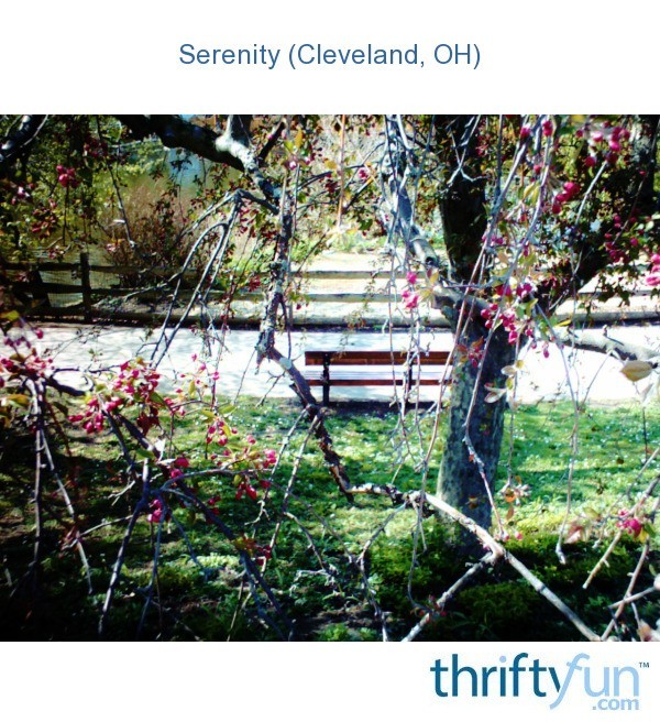 Serenity Cleveland Oh Thriftyfun