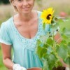A woman transplanting a sunflower.