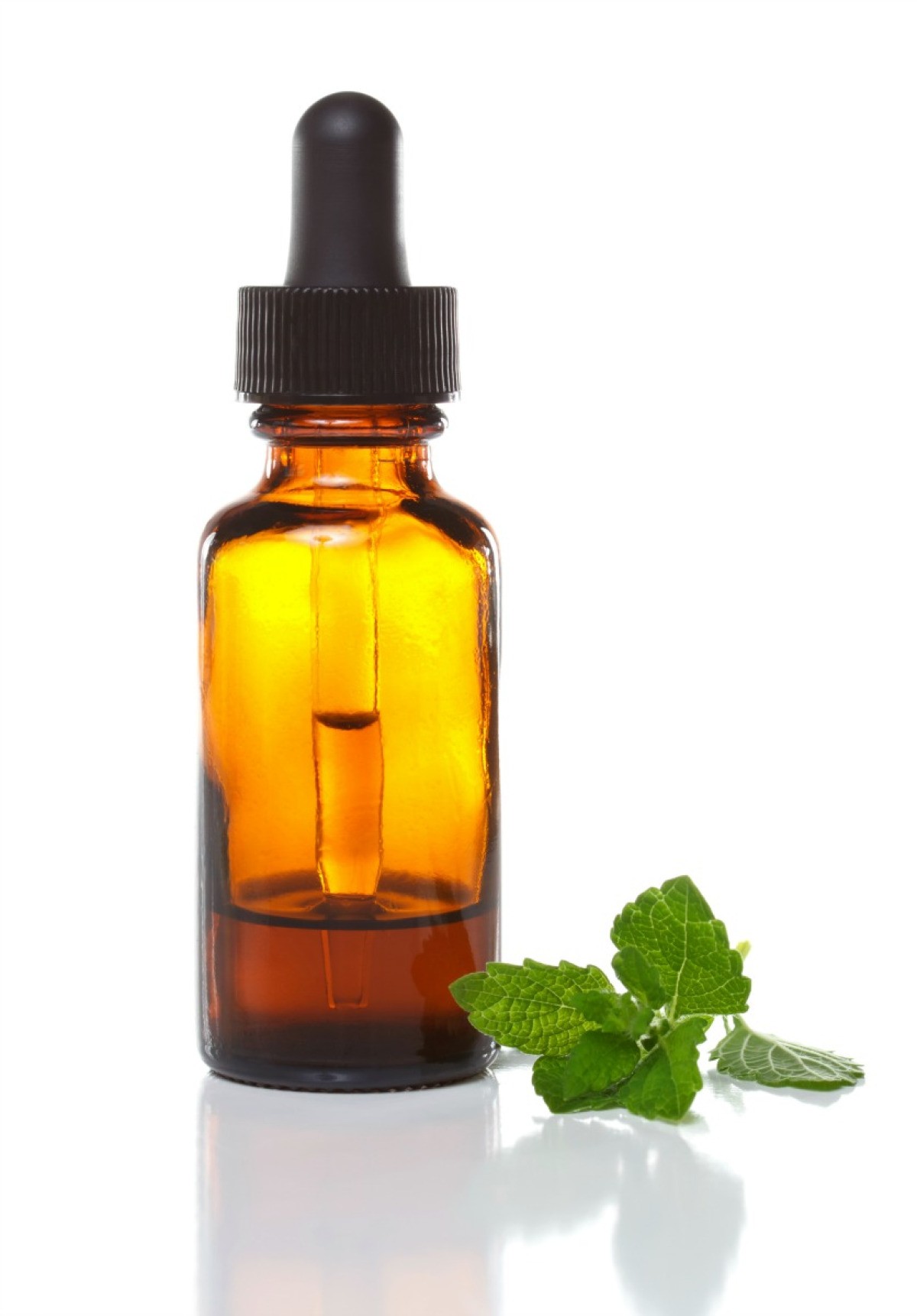Making Your Own Herbal Tinctures ThriftyFun