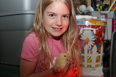 Girl holding baby chick.