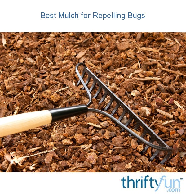 Best Mulch For Repelling Bugs Thriftyfun Best Mulch For Repelling Bugs Thriftyfun