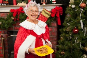 Mrs. Claus Costume