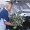 A woman putting plants in her car.