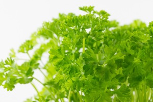 Fresh Parsley