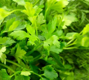 Parsley