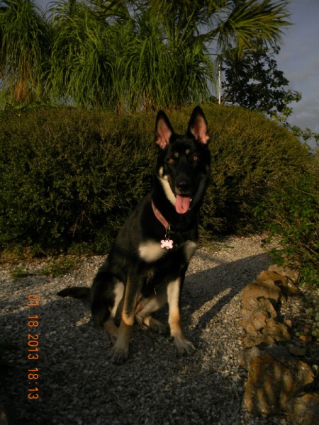 Sitting up on gravel path.