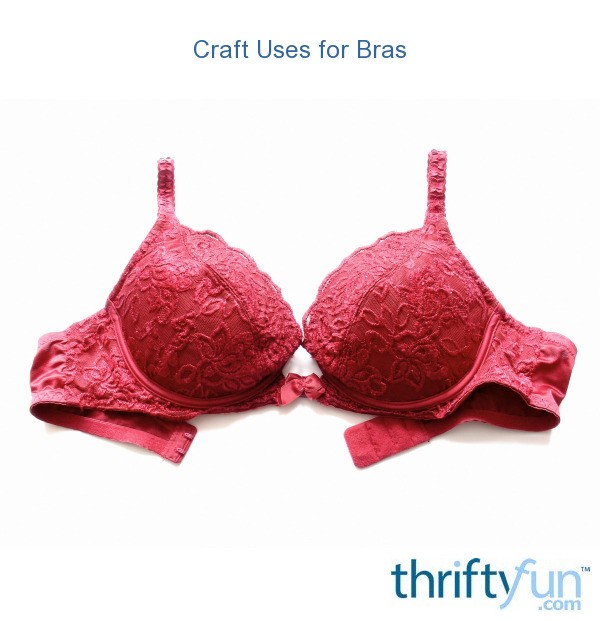 Craft Uses for Bras | ThriftyFun