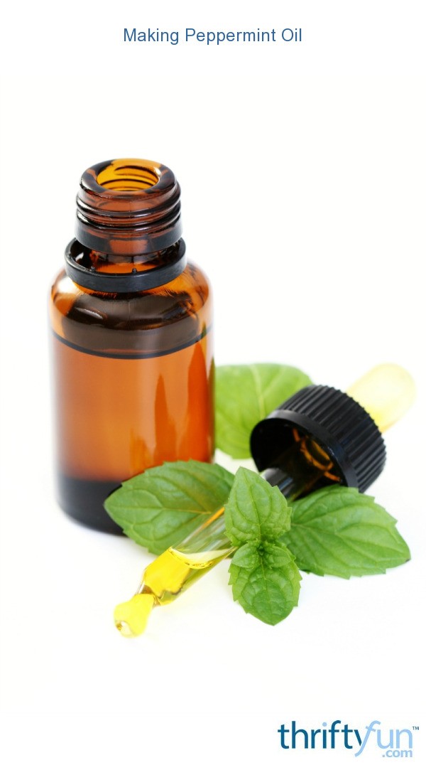 making-peppermint-oil-thriftyfun