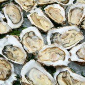 Oysters