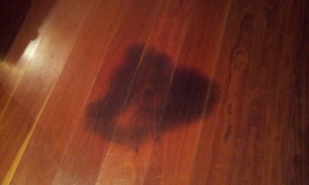 Pet urine stain on wood floor.