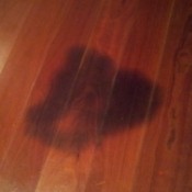 Pet urine stain on wood floor.