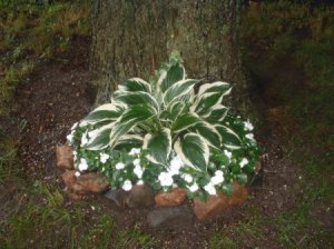 Adding Points of Interest to Lawns