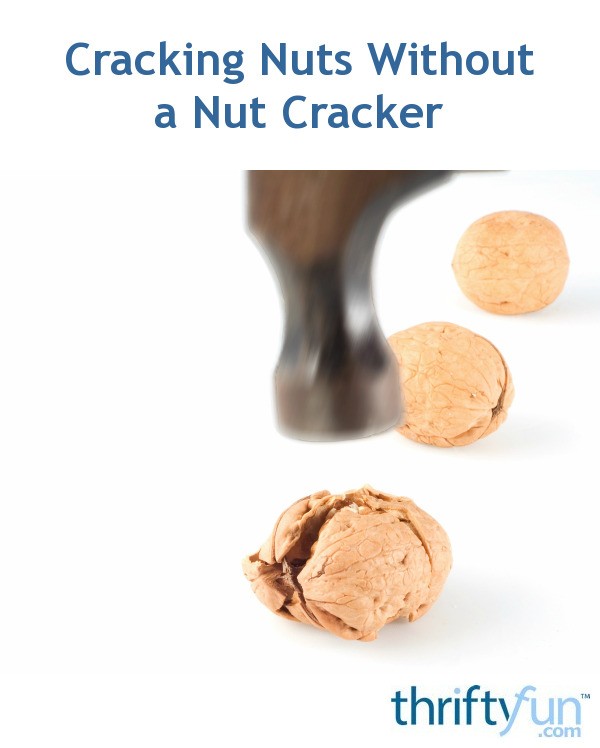 Cracking Nuts Without a Nut Cracker ThriftyFun