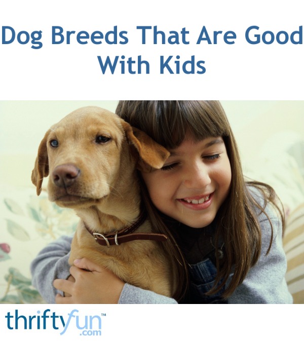 Dog Breeds That Are Good With Kids? | ThriftyFun