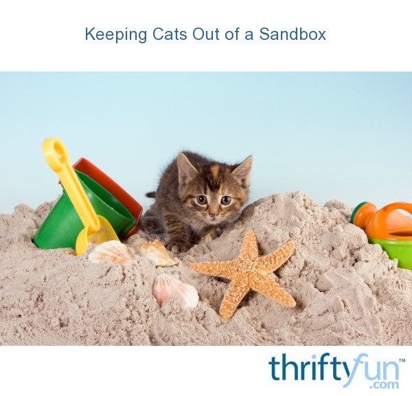 Keeping Cats Out of a Sandbox ThriftyFun