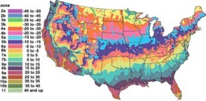 USDA Plant Hardiness Zones Explained