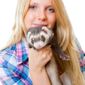 A girl with her pet ferret.