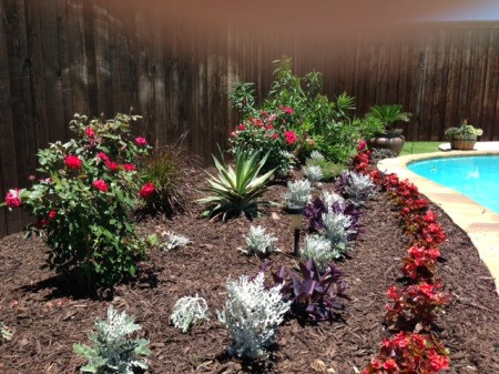 Planting around pool.