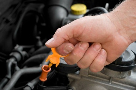 Photo of a someone checking their oil.