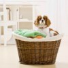 A cut dog sitting in a basket of clean laundry.
