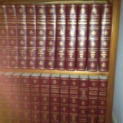 Volumes on a bookshelf.