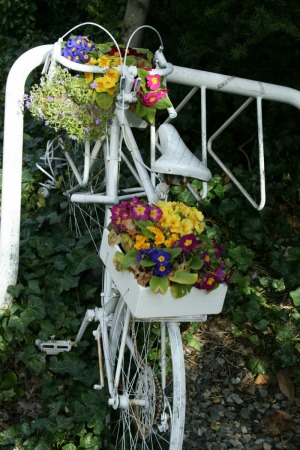 recycled bike planter