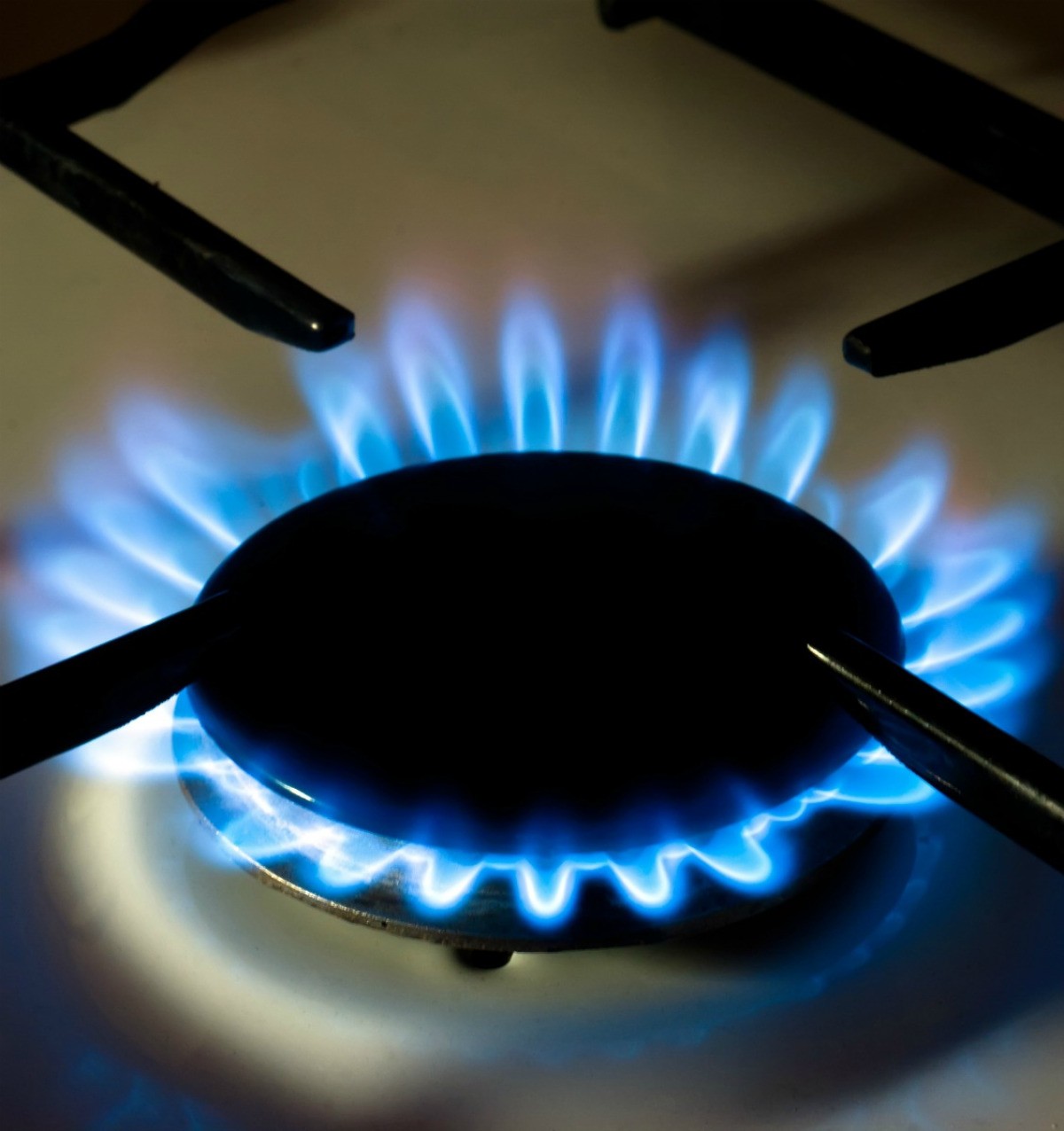 Types Of Gas Stove Burners at Ricky Brooks blog