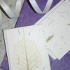 homemade plantable paper