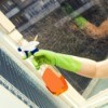 Cleaning Window Blinds