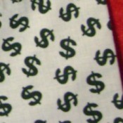 Dollar Sign Fabric