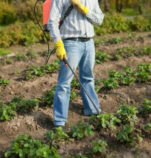 man using pesticide
