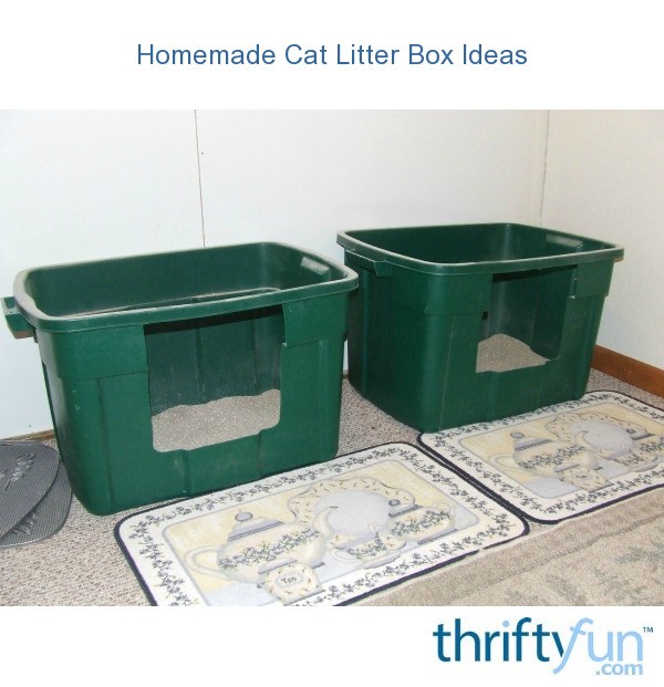 litter box ideas