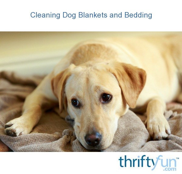 Cleaning Dog Blankets and Bedding ThriftyFun