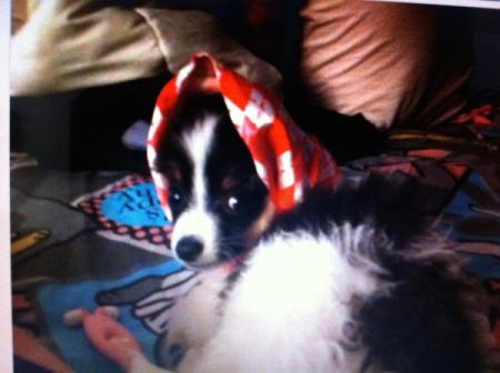 Max with red and white head scraf.