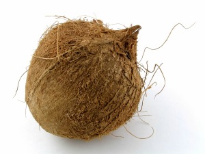 Coconut