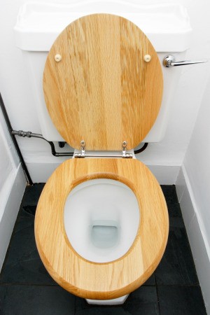 Wood Toilet Seat