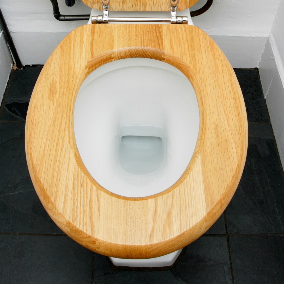 Cleaning a Wood Toilet Seat? | ThriftyFun