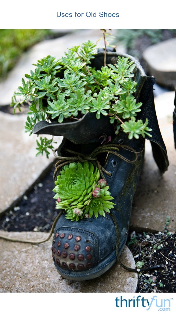 uses-for-old-shoes-thriftyfun