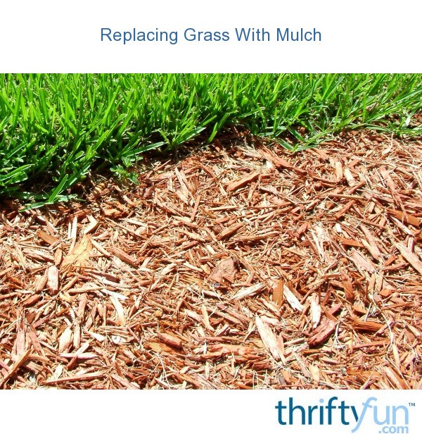 Replacing Grass With Mulch? ThriftyFun