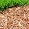 Replacing Grass With Mulch