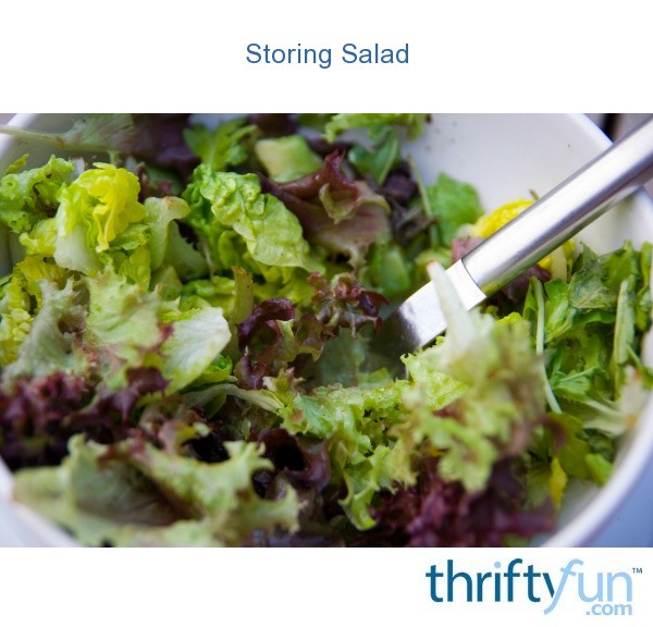 storing-salad-thriftyfun