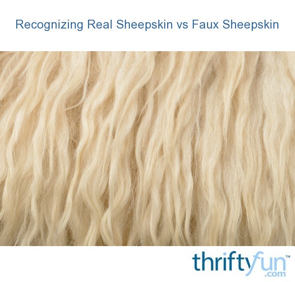 Recognizing Real Sheepskin vs Faux Sheepskin? ThriftyFun