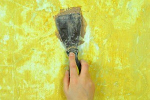 Patching a Plaster Wall