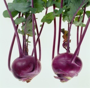 Kohlrabi