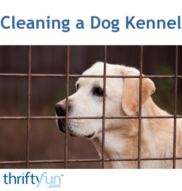 Cleaning a Dog Kennel ThriftyFun