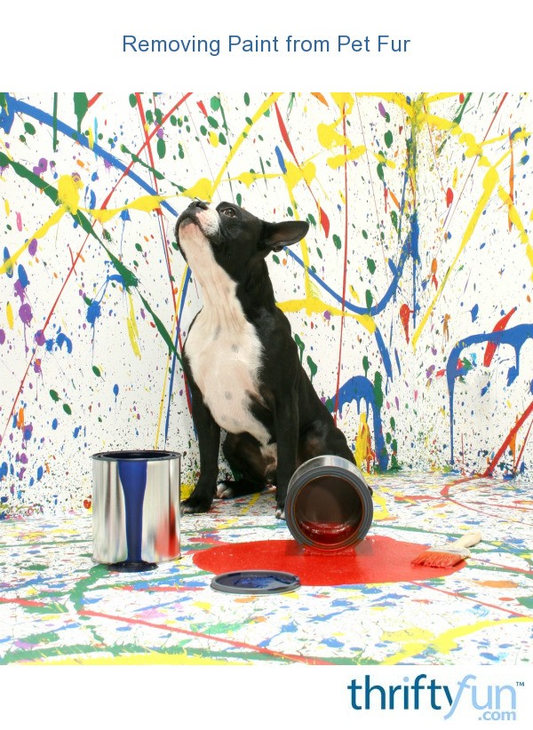 Removing Paint from Pet Fur ThriftyFun