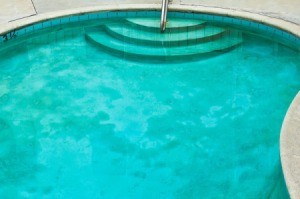 Algae in a pool