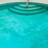 Algae in a pool