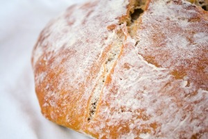 No-Knead Yeast Bread
